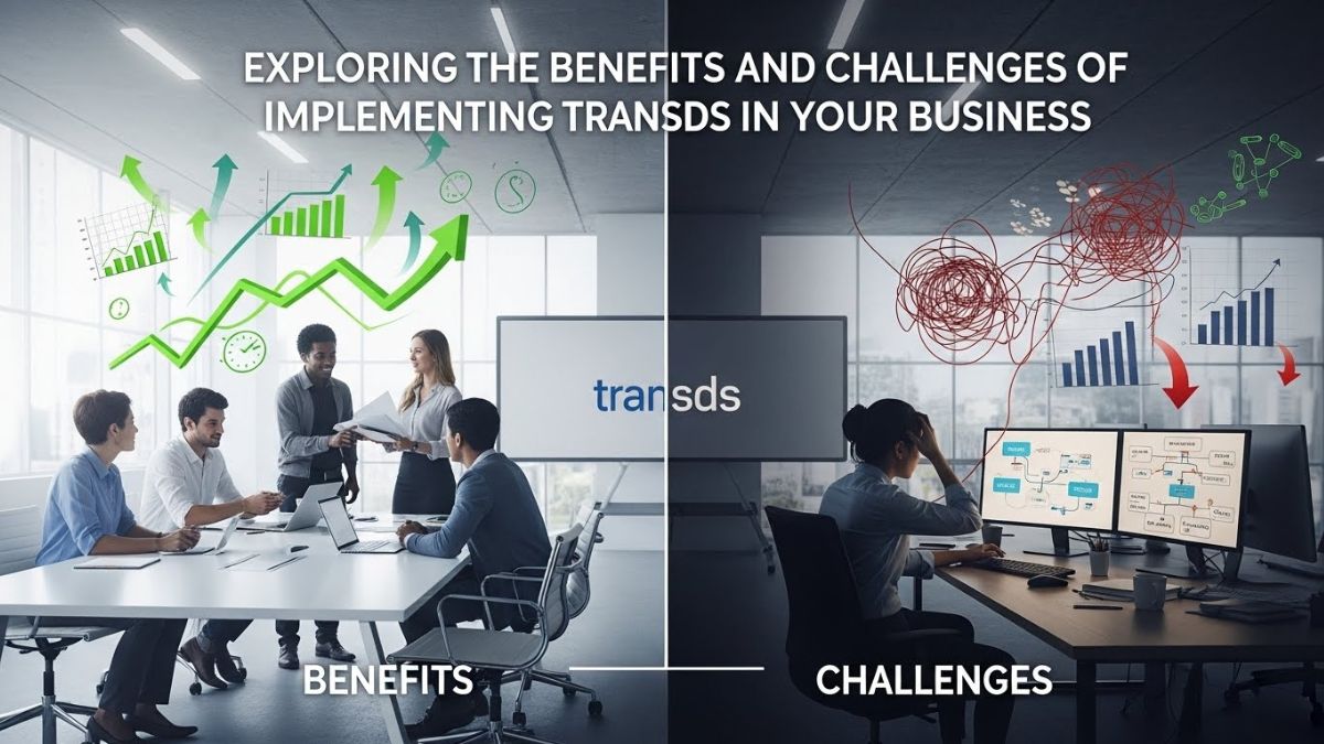 Exploring the Benefits and Challenges of Implementing transds in Your Business